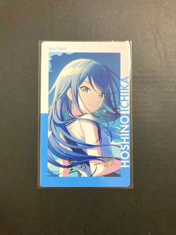 프로세카 이치카 에피카 17A 금박