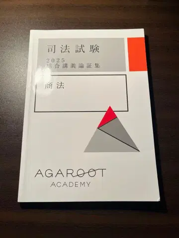 아갈루트 논증집 2025 상법