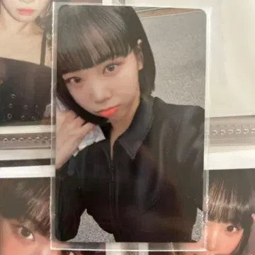 채원 트레이딩 카드 르세라핌