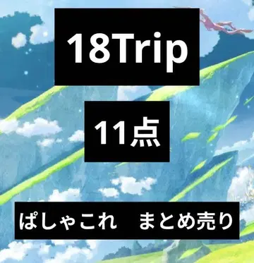 18Trip 에이트리 파샤코레 묶음 판매