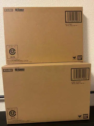 METAL BUILD 스트라이크 건담 & 에일 스트라이커 10th Ver