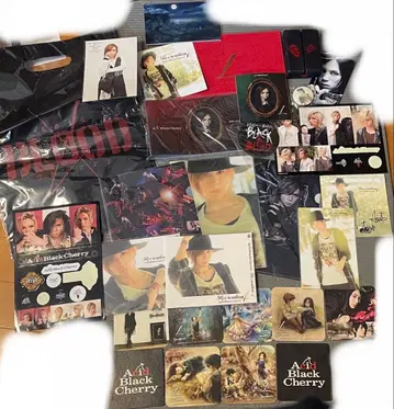 Acid Black Cherry 굿즈 세트