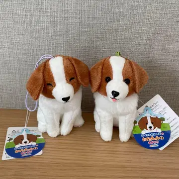 코이케루혼디에의 오데코짱 오스와리 VMC 2세트