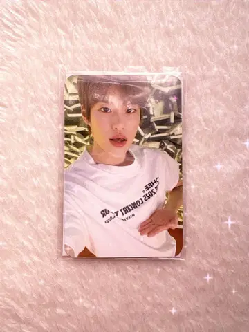 소희 T셔츠 트레이딩 카드