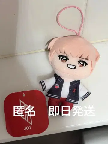 GiGO 한정판 JO1 카와니시 타쿠미 마스코트 봉제 인형