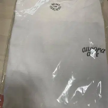 BUMP OF CHICKEN aurora ark 초회 한정판 롱티