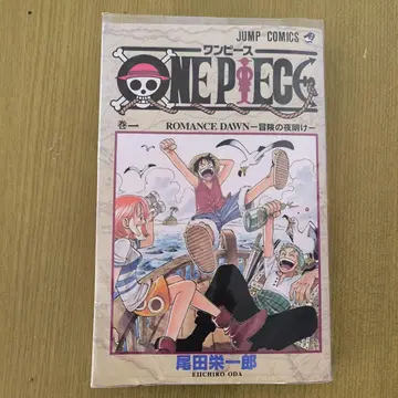 ONE PIECE 1~101권 + 덤