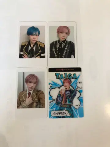 팬더 드래곤 타이거 하피카 등