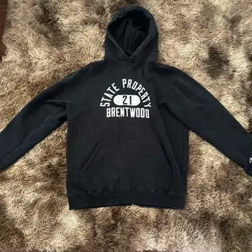 Champion steteproperty 속기모 후드티