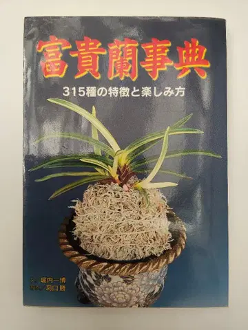 풍란 사전 315종의 특징과 즐기는 방법