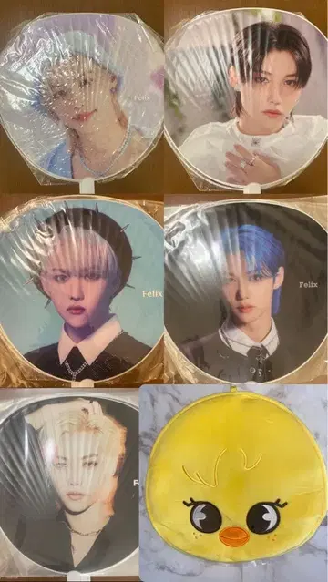 필릭스 Felix 부채 케이스 포가리 부채 5개