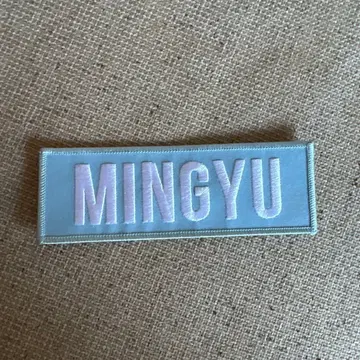 민규 세븐틴 와펜