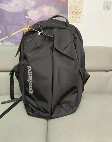 patagonia 블랙 백팩