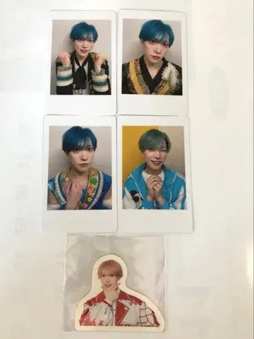 팬더 드래곤 타이거 하피카 등