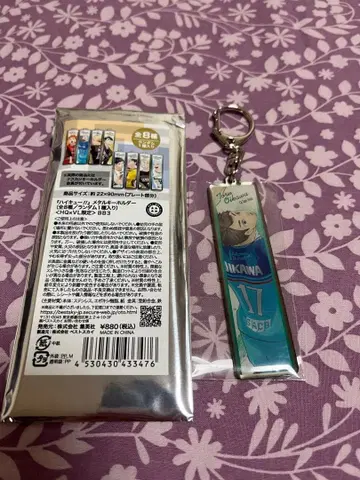 하이큐 V리그 키링 오이카와