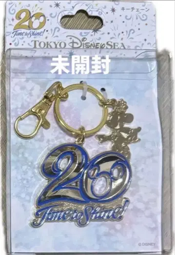 [미개봉] 디즈니씨 20주년 키체인