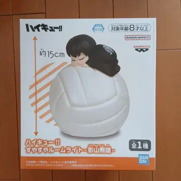 하이큐!! 카게야마 토비오 스야스야 룸 라이트