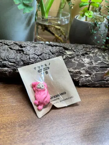 나태 NAMAKEMONO 촌장의 직판장