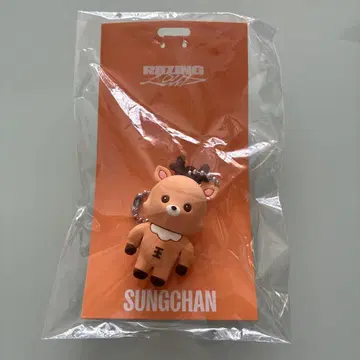 RIIZE 러버 키링 성찬