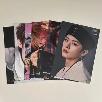 StrayKids 리노 플라이어