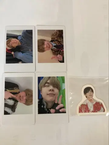 팬더 드래곤 나기 하피카 등