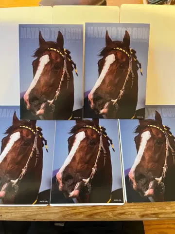 서러브레드 컬렉션 엽서 야마노탑건