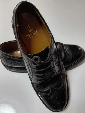 REGAL 블랙 윙팁 26EE