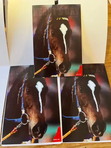 서러브레드 컬렉션 엽서 하츠 클라이