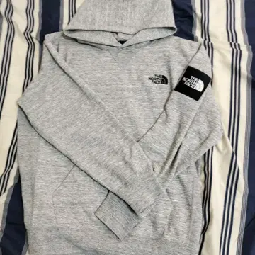 THE NORTH FACE (더 노스 페이스) 그레이 후드티