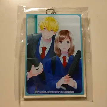 미개봉 새상품 [ 태양보다 눈부신 별 아크릴 키링 ] 초레어