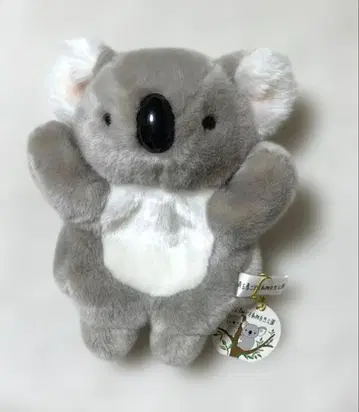 사이타마현 어린이동물자연공원 코알라 봉제 인형 퍼펫