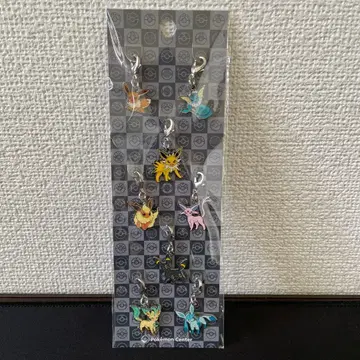 포켓몬 이브이 진화 전국도감 메탈참 8개 세트