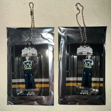 [ SEVENTEEN s HOME ] 아크릴 키링 JUN 준