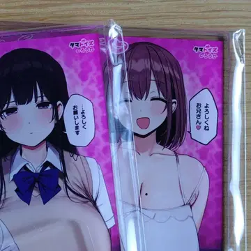 타네자와 마모리 타네자와 나나미 아크릴 스탠드 복도