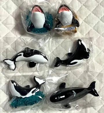 레어 카모가와 씨월드 랜덤 마그넷 범고래