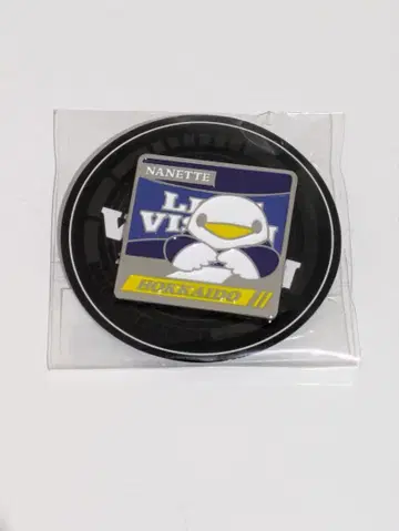 미즈키 나나 LIVE VISION 2025-2026 핀즈 홋카이도 한정