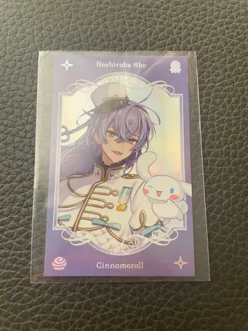 Dytica x 산리오 캐릭터즈 랜덤 사진풍 카드 호시미치 쇼