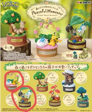 숲의 작은 이야기 시리즈 피카츄 & 파비코 리아 & 호시가리스 세트
