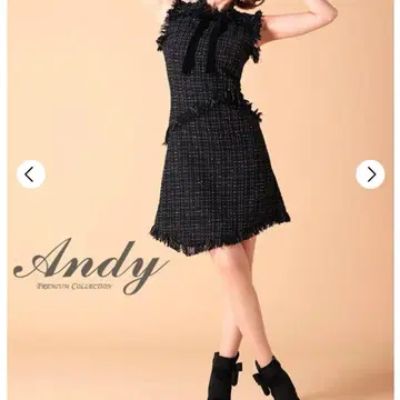 Andy 프린지 슬리브리스 트위드 드레스