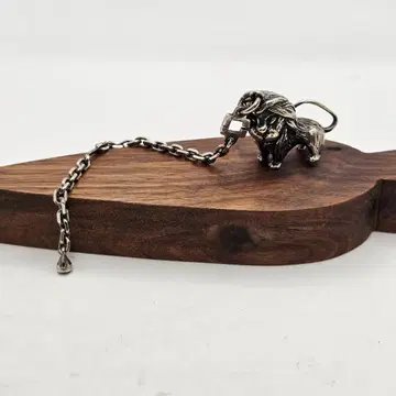 [중후] 라이온 사자 실버 참 38.3g 키링 동물