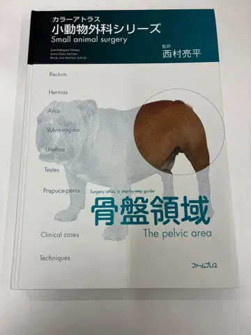 수의학 컬러 아틀라스 소동물 외과 시리즈 골반 영역