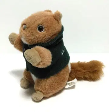 GRAND CANYON 다람쥐 봉제 인형 애니멀 동물 그랜드 캐니언