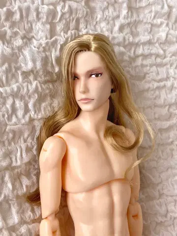 펫워크스 육분의일 남자 도감 뱀파이어 나인 본체