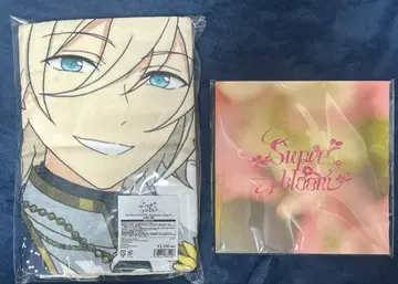 텐쇼인 에이치 스타포니 빅 타월 특전