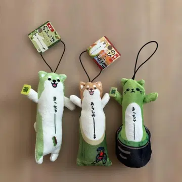 노비시바 고토치 교토 3개 세트