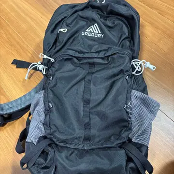 GREGORY 터프 25 블랙 백팩