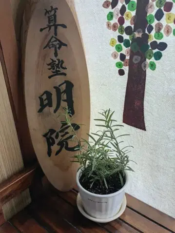 [ 유우님 예약품입니다 ] [ 사명학 감정 ]