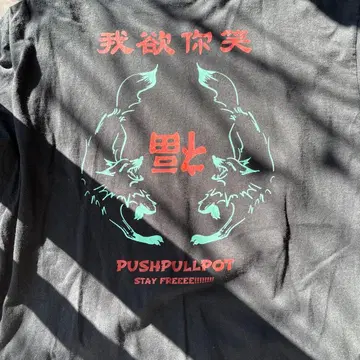 푸시풀포트 롱티