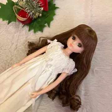 리카짱 캐슬 컨트리 모델 리카짱 인형 본체