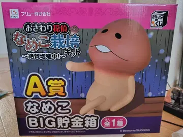 나메코 BIG 저금통 A상